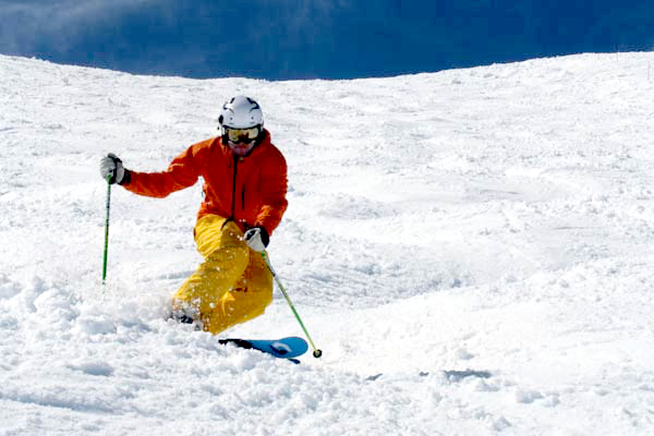 telemark skier in the bumps image of