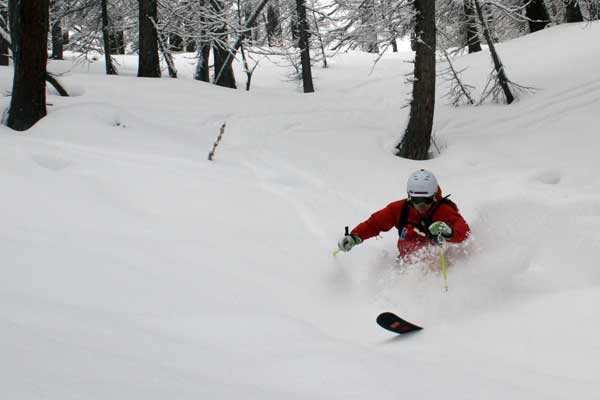 telemark skier in the powder image of