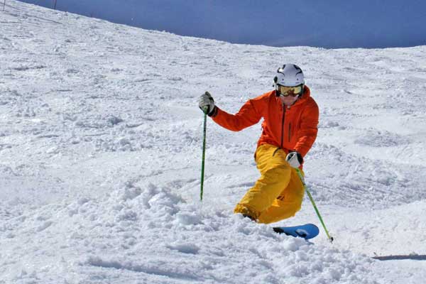 telemark skier in the bumps image of
